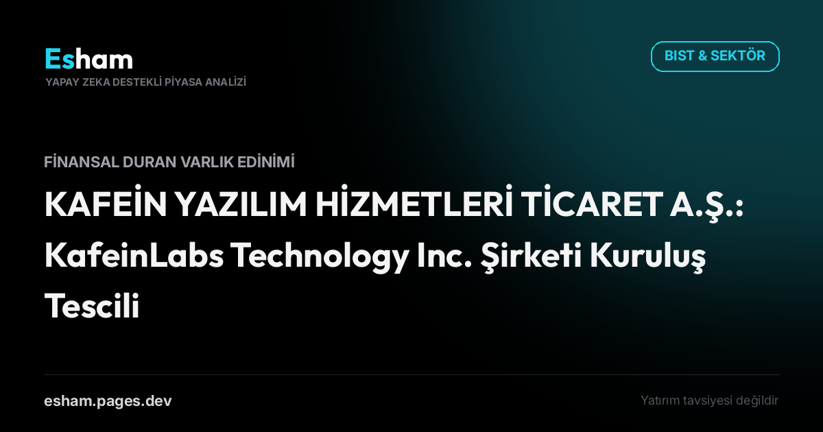 KAFEİN YAZILIM HİZMETLERİ TİCARET A.Ş.: KafeinLabs Technology Inc. Şirketi Kuruluş Tescili