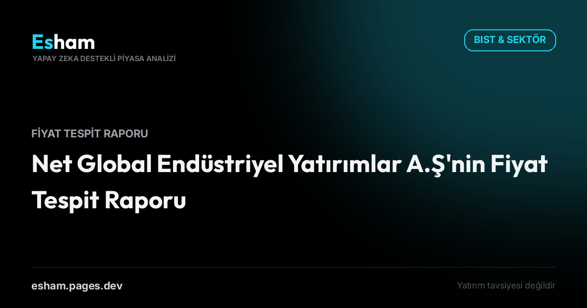 Net Global Endüstriyel Yatırımlar A.Ş'nin Fiyat Tespit Raporu