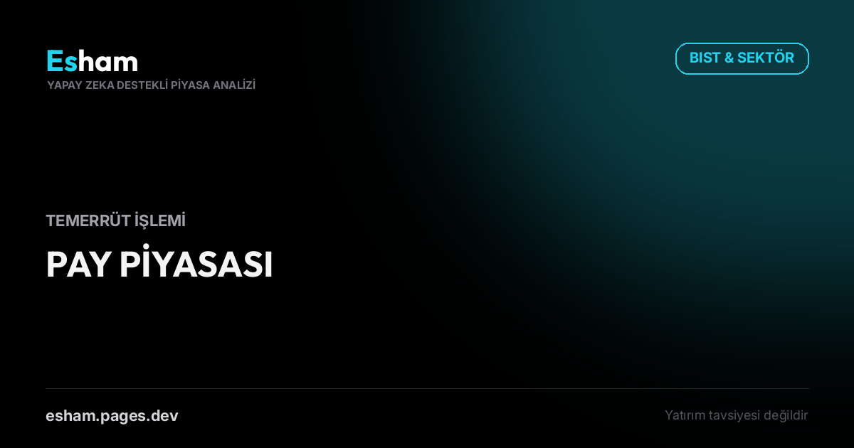 PAY PİYASASI