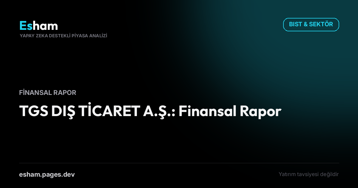 TGS DIŞ TİCARET A.Ş.: Finansal Rapor
